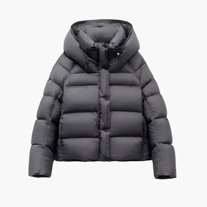 Herr Dunjacka Vinter Puffer Kort Varm och Trendig