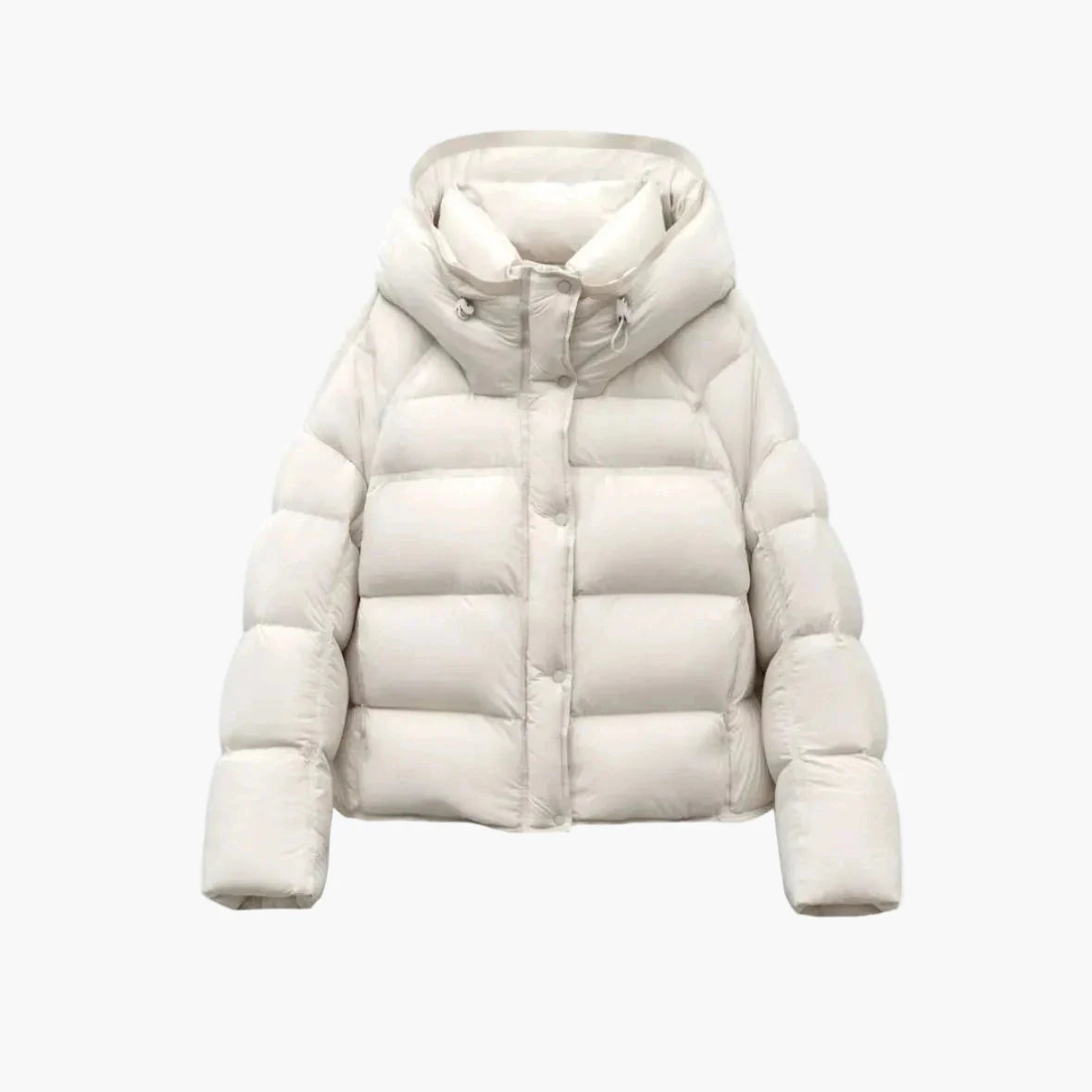 Herr Dunjacka Vinter Puffer Kort Varm och Trendig